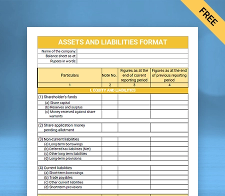 Download  Professional Assets and Liabilities Format in  Docs