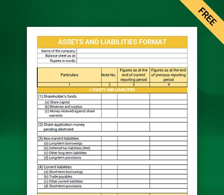 Download Professional Assets and Liabilities Format in Excel