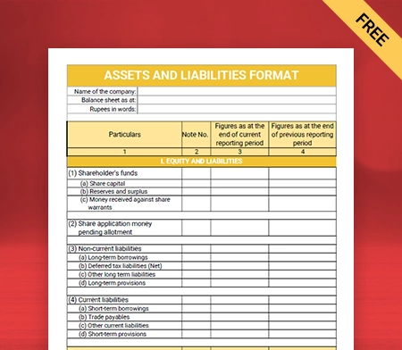 Download Professional Assets and Liabilities Format in PDF