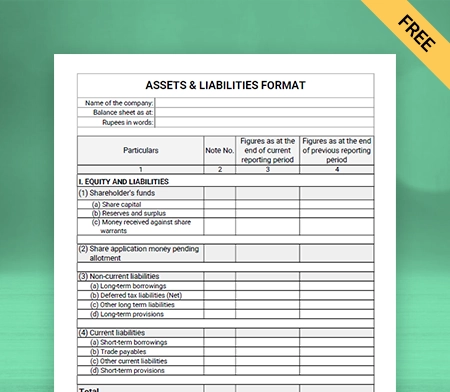 Download Professional Assets and Liabilities Format in Sheets