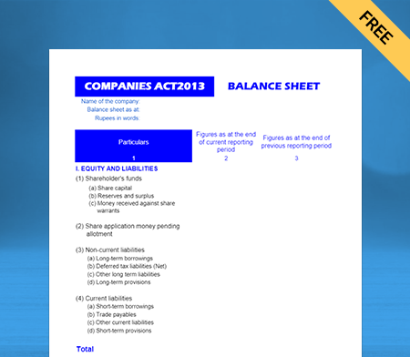 Use As Per Companies Act 2013 Balance Sheet Format for Multiple Business