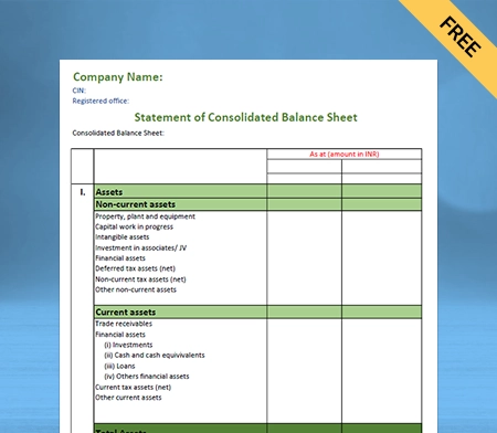 Generate report through Common Size balance sheet format