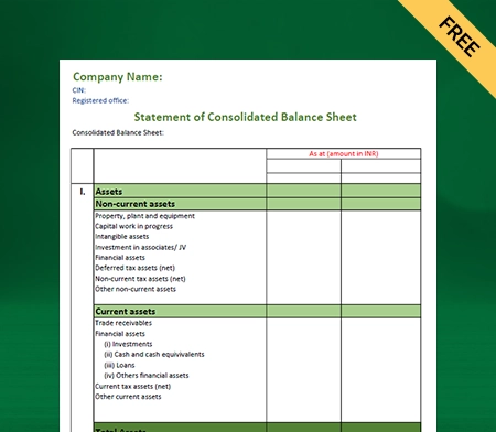 Use Consolidated Balance Sheet Format for Multiple Business