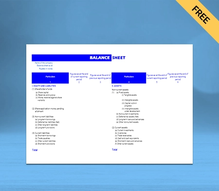 easily track your liabilitis by using Horizontal balance sheet format