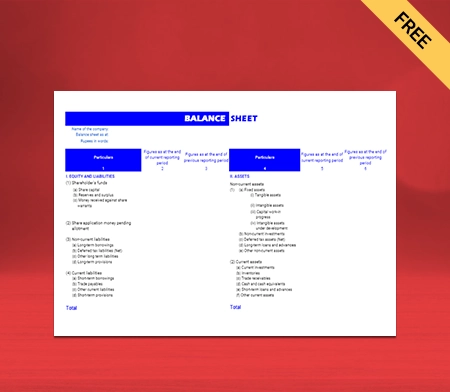 Use simple Horizontal balance sheet format