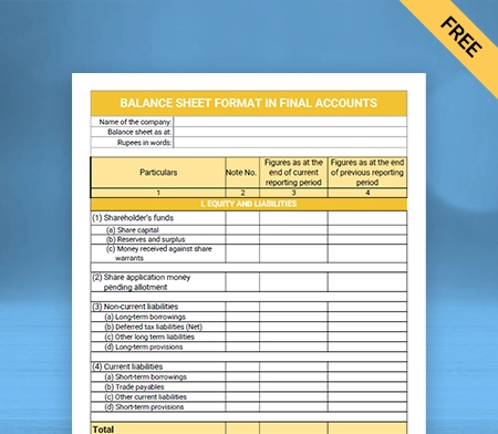 Download  Professional Balance Sheet Format in Final Accounts in Google Docs