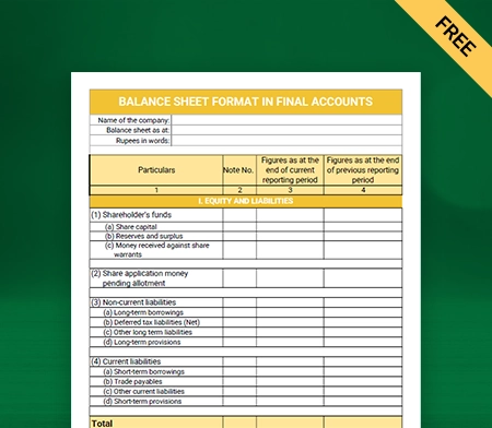 Download Professional Balance Sheet Format in Final Accounts in Excel