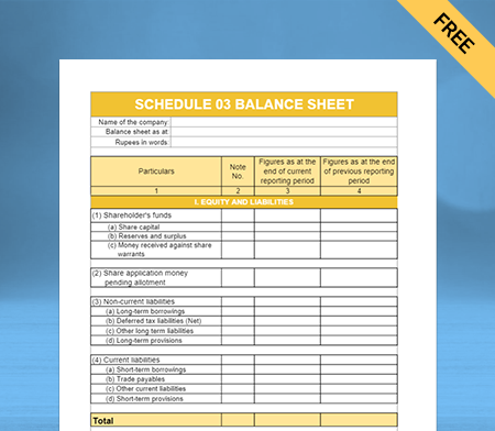 Free GST Professional Schedule III Balance Sheet Format