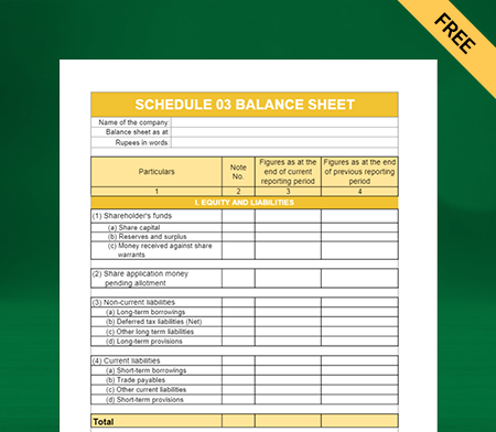 Balance Sheet Format in Schedule III