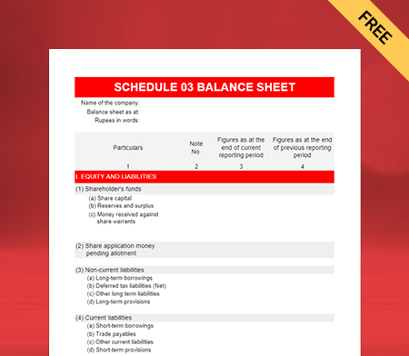 Generate Schedule III Balance Sheet Format Online