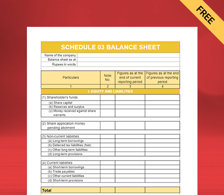 Create Professional Schedule III Balance Sheet Format Online