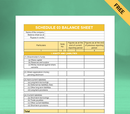 Generate report through Schedule III balance sheet format