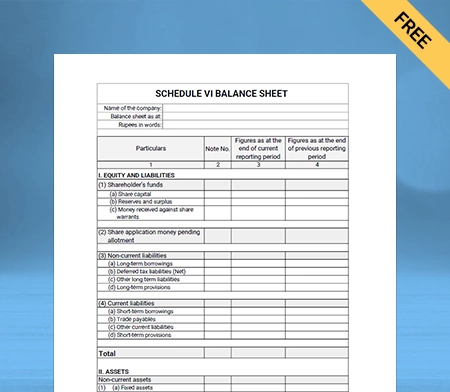 GST Schedule 6 Balance Sheet Format