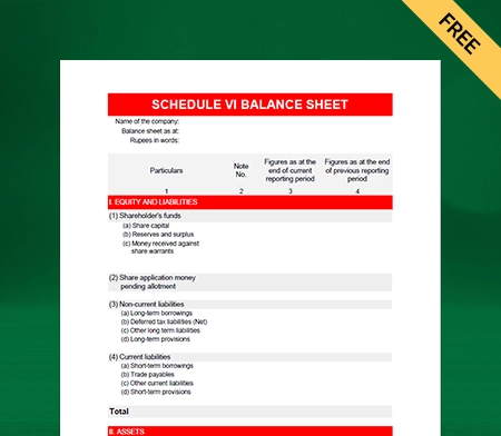 manage your business financials with Schedule 6 balance sheet format