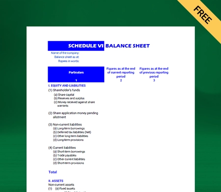 Schedule 6 Balance Sheet Maker App