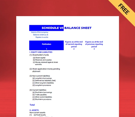 Generate Online Professional Schedule 6 Balance Sheet Format