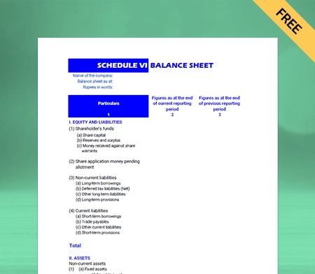 easily track your assets by using Schedule 6 balance sheet format