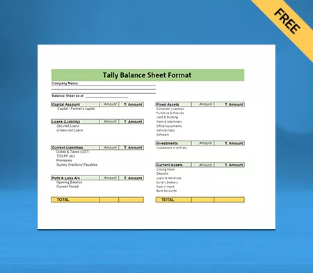 Use Tally Balance Sheet Format for Multiple Business